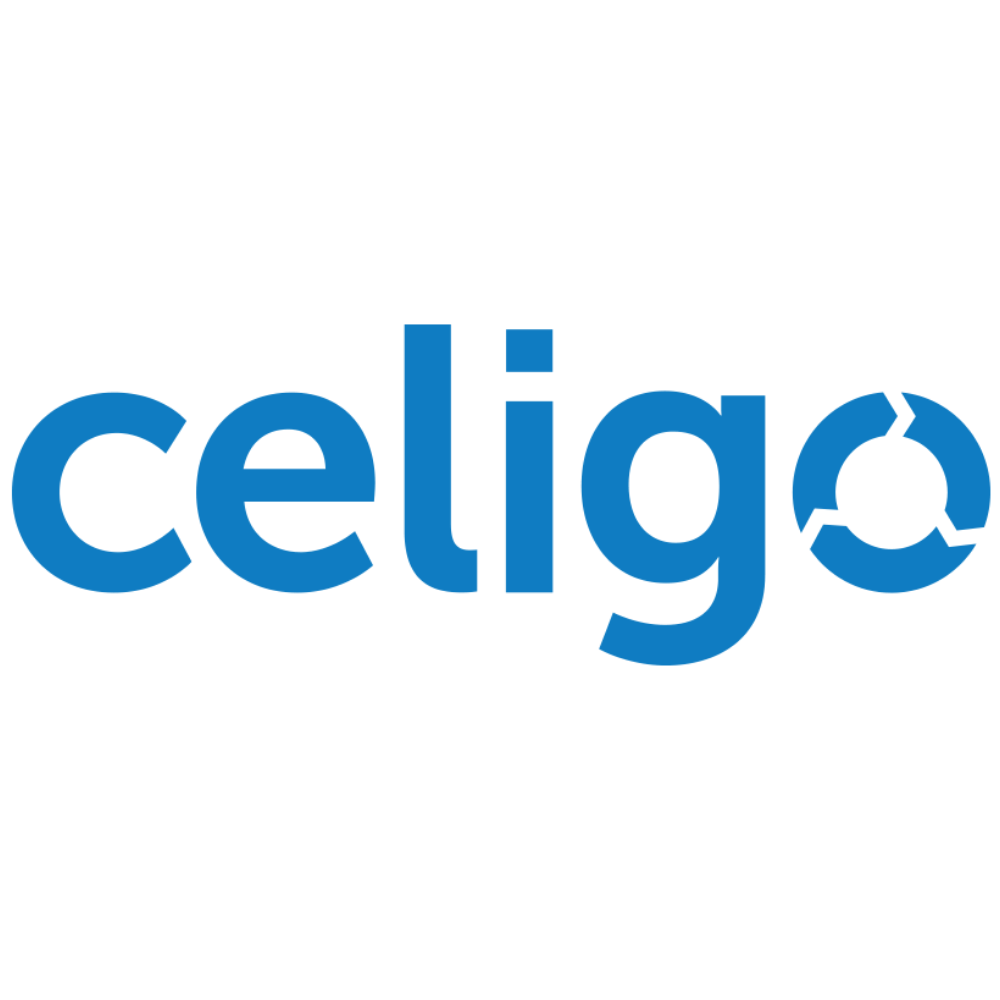 celigo netsuite integrations