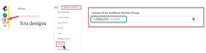 Mailchimp Audience ID