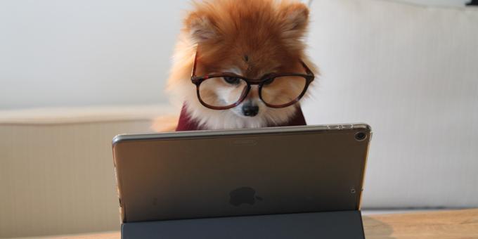 WORKAROUND to Access Activation Records | NetSuite