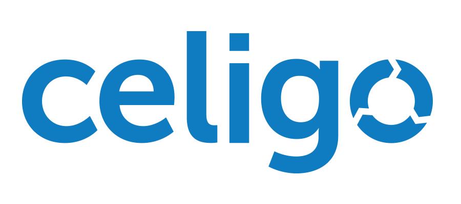 celigo netsuite integration