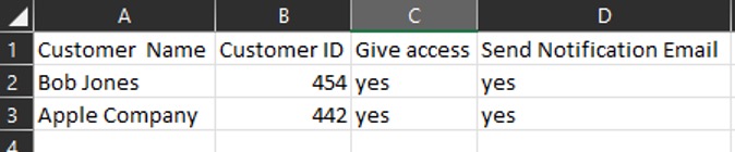 CSV File Template for Customer Access