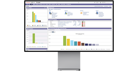 new project netsuite services