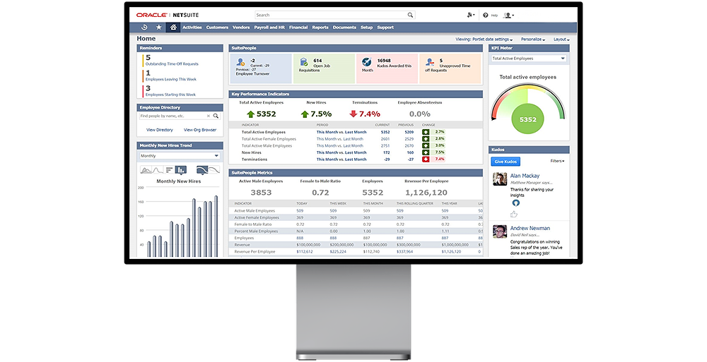 netsuite dashboard mockup