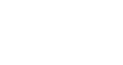 spotlight award badge netsuite erp