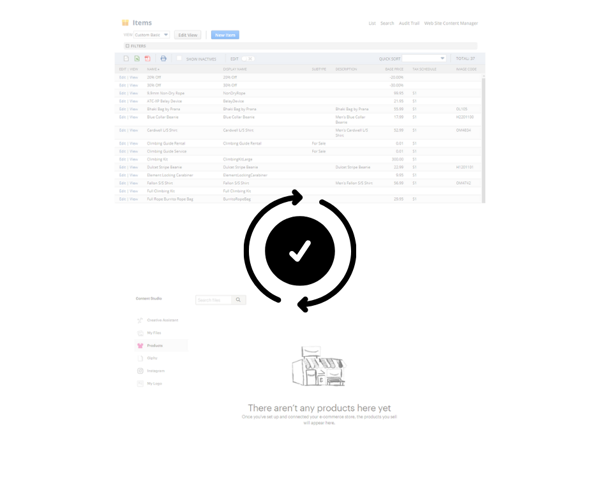 Mailchimp to NetSuite Integration Features