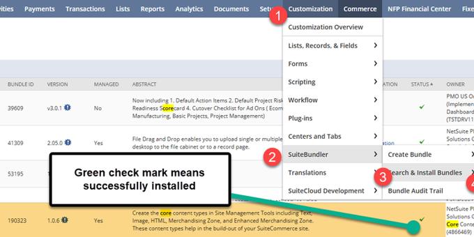 SuiteCommerce Theme Skins | Instructional Guide | NetSuite SMT