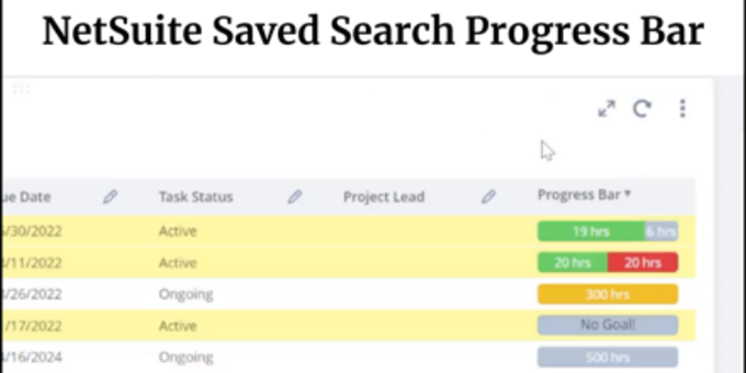 NetSuite Saved Search Progress Bar | FREE NetSuite Tool