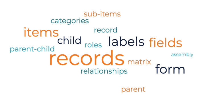 netsuite terminology word cloud