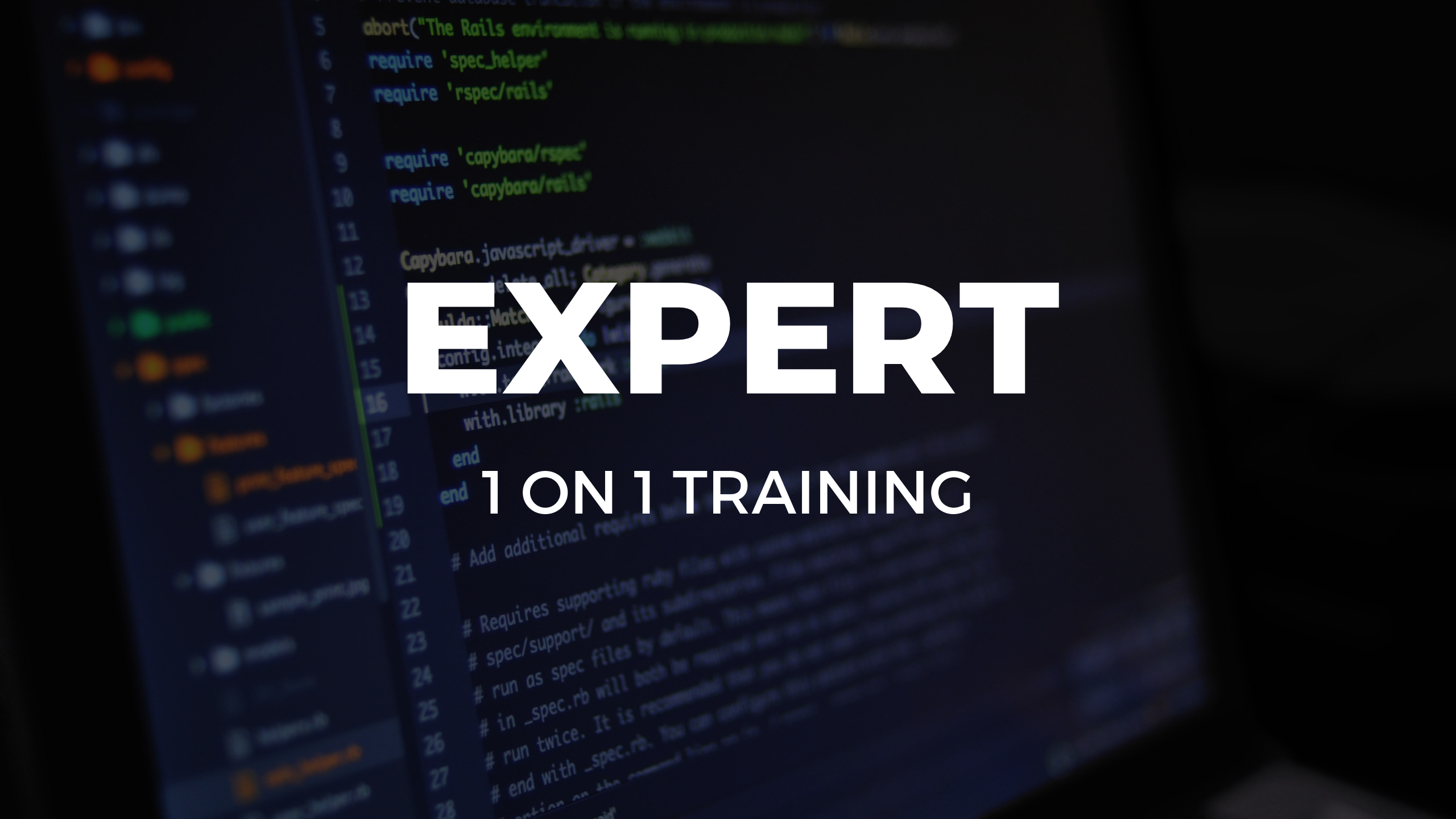 Expert 1-on-1 training for NetSuite users