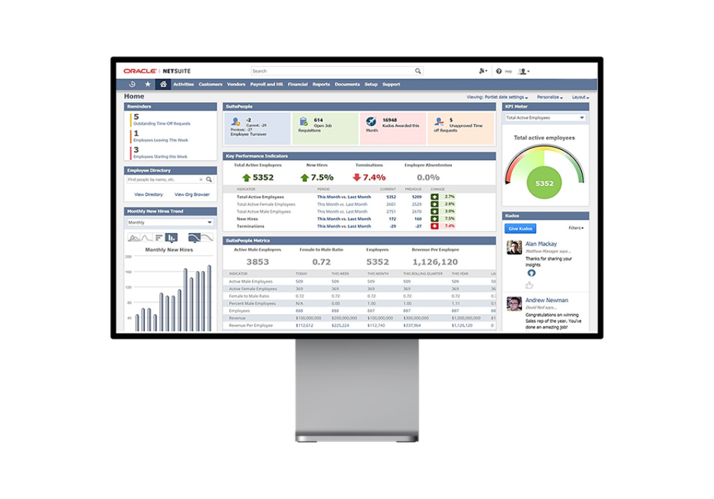 NetSuite Developers near me dashboard