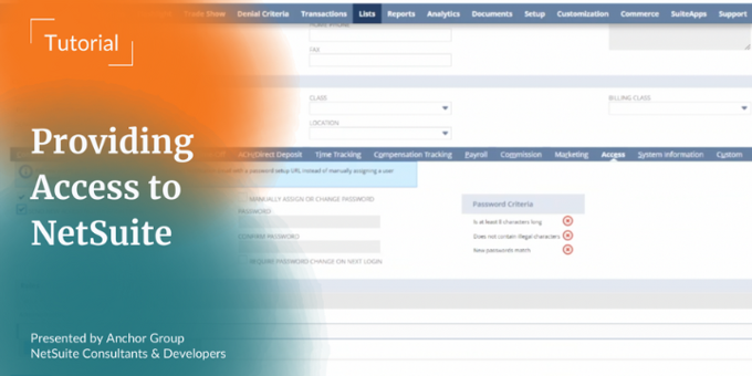 How to Give Someone Access to NetSuite | NetSuite Tutorial