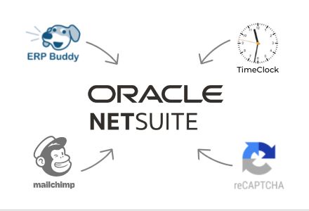 recommended netsuite solution articles