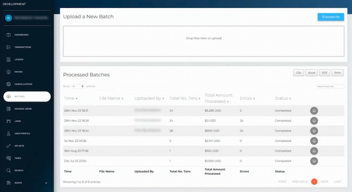 manual vs automated netsuite payouts