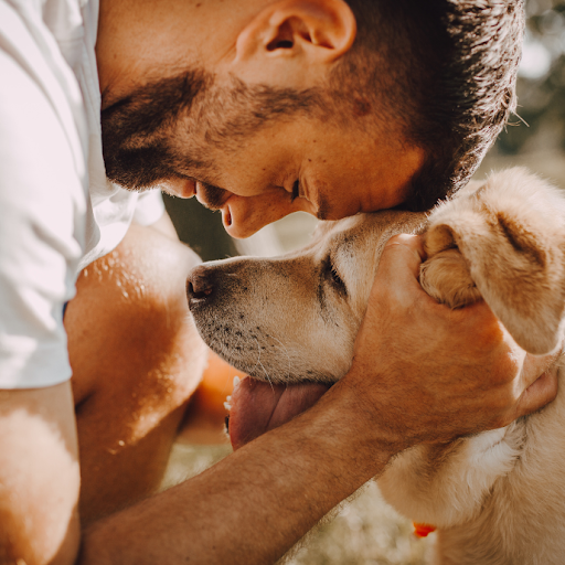 Our animal communicators special gift includes being able to communicate with a dog. See what the dog in your life is thinking.