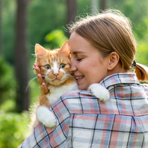 Interesting in your cat's world? Experience the joy of being more in tune with your animal, their feelings, and their sense.