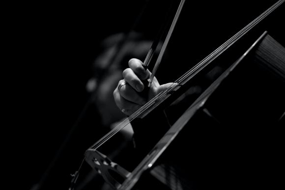 online violin lessons