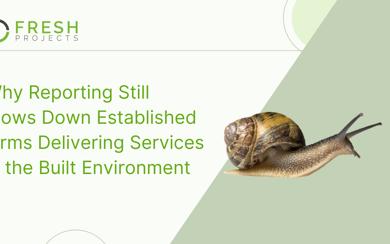 Why Reporting Still Slows Down Established Firms Delivering Services in the Built Environment 