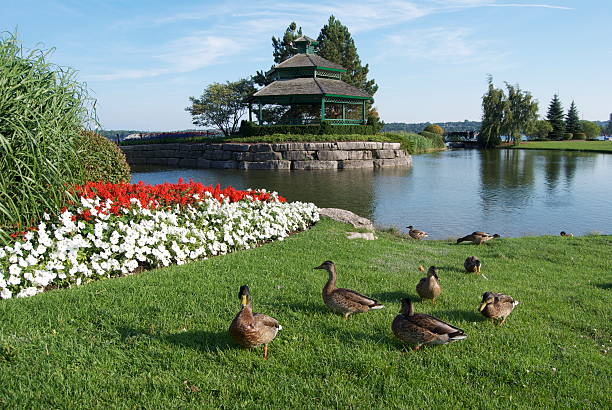 Barrie Riverfront