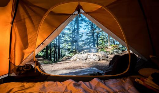 orange camping tent near green trees