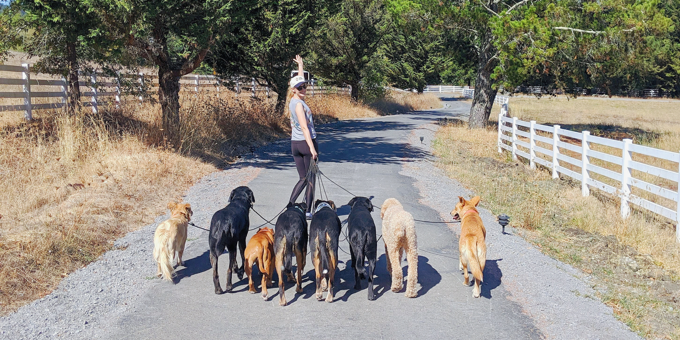 Bringing Compassion and Science to Her Businesses - Lindsey Schulz from INU Packs
