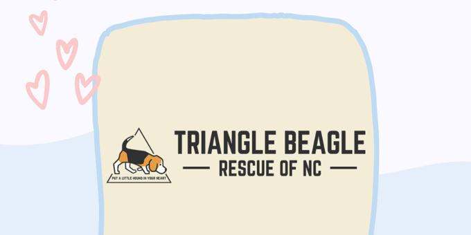 March Shelter of the Month: Triangle Beagle Rescue