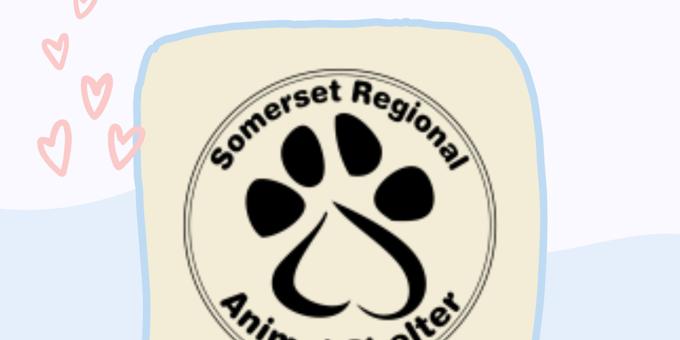June shelter of the month: Somerset Regional Animal Shelter