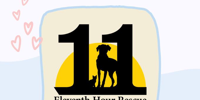 Until the cages are empty: inside Eleventh Hour Rescue