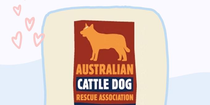 Shelter of the Month: Australian Cattle Dog Rescue Association (ACDRA)