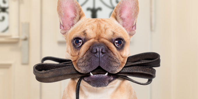 Simplify your new client onboarding process with these tips