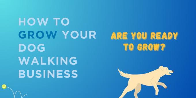 How to Grow Your Dog Walking Business | Chapter 1