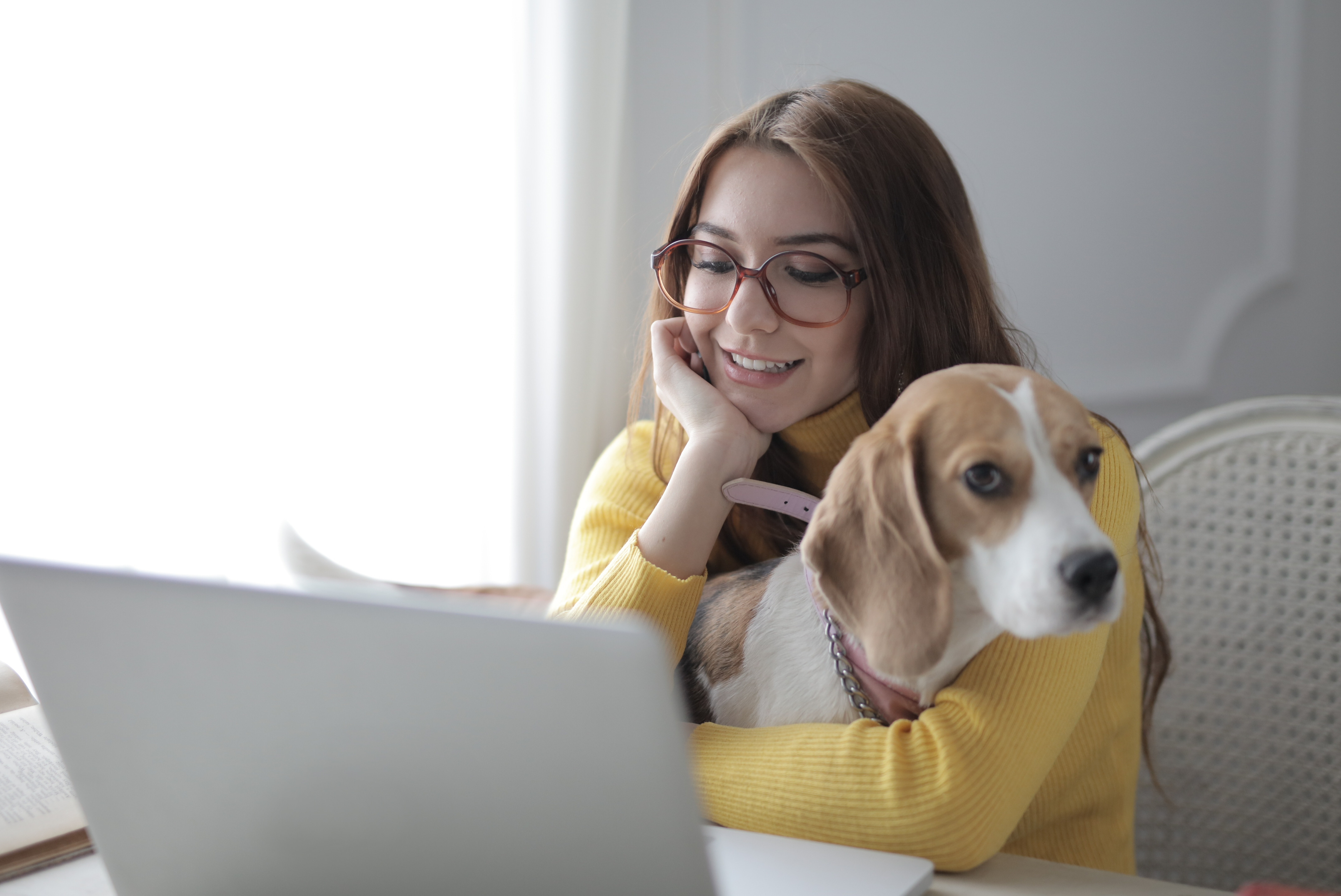 woman and dog using computer