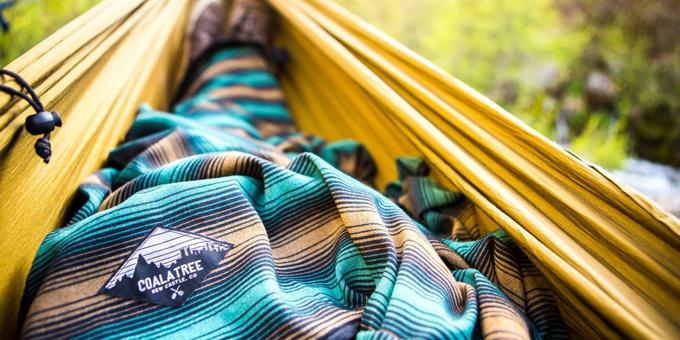 Case Study: CoalaTree