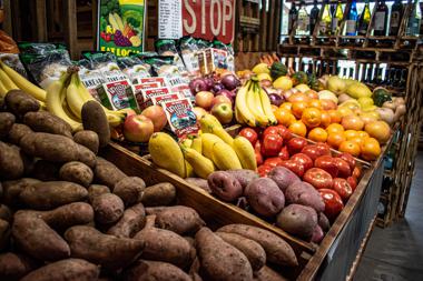 produce fort myers