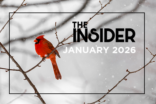 ces-insider-newsletter-january-2026