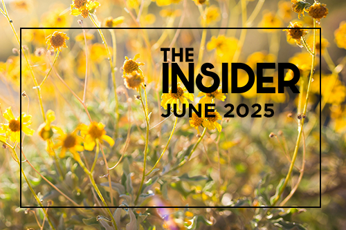 ces-insider-newsletter-june-2025