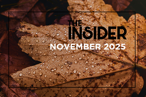 ces-insider-newsletter-november-2025
