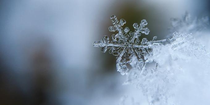 La Niña’s Here: How to Protect Your Business