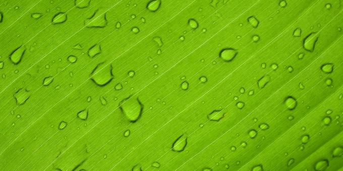 Hydrogen – Poised for Growth