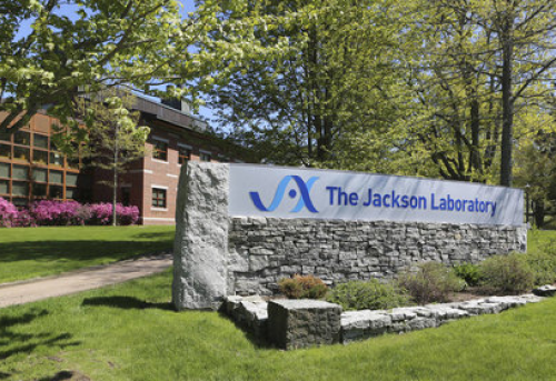 The Jackson Laboratory