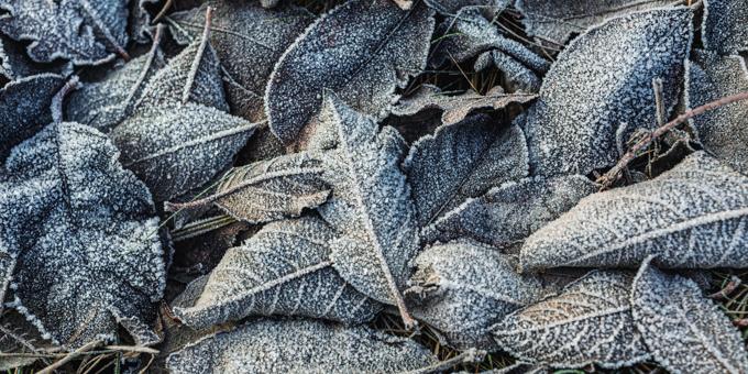 Cold Weather Months: How CES Helps Clients Power Through