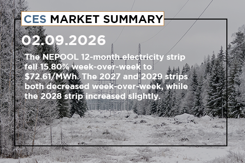 ces-market-summary-february-2-6-2026