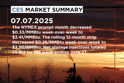 ces-market-summary-june-3o-july-4-2025