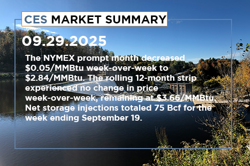 ces-market-summary-septmber-22-26-2025
