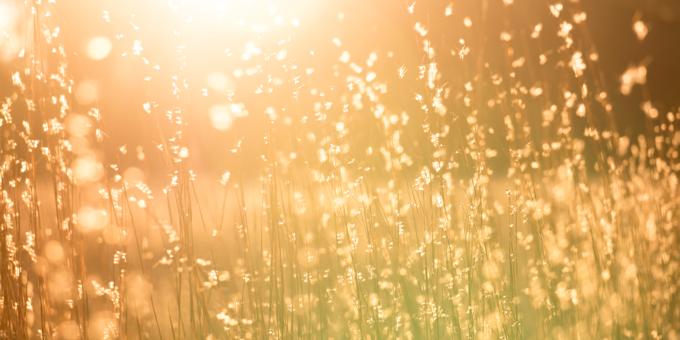 Summer Weather Outlook