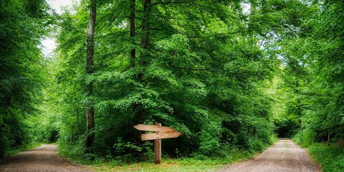 The Twin Paths of Beneficial Electrification & Deep Decarbonization: What It Will Take to Meet Reduction Targets and Eliminate Carbon from Our Energy Sector